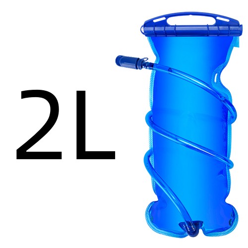 2L