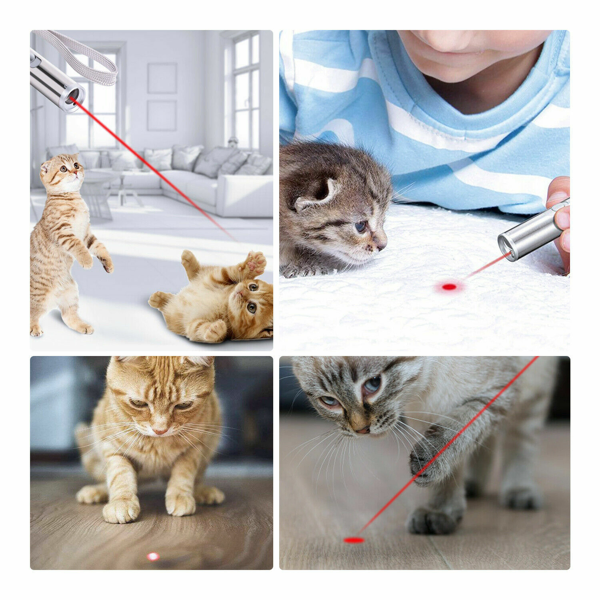 2PCS 3 in1 1mw USB Rechargeable Pet Toy Pen Flashlight Red laser Beam UV Light 3-Modes Lamp-22