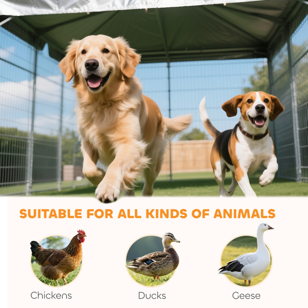 Dog Kennel-13