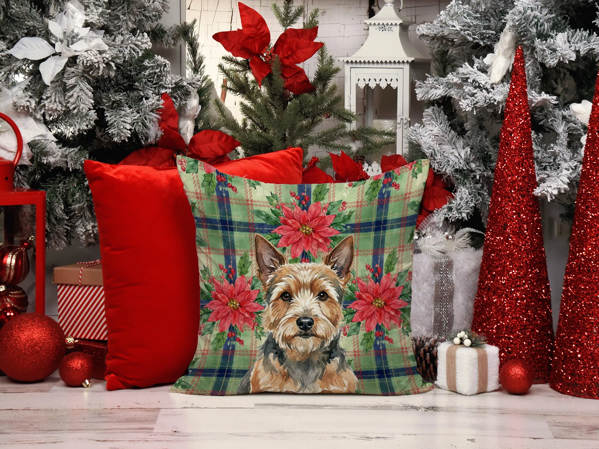View 5