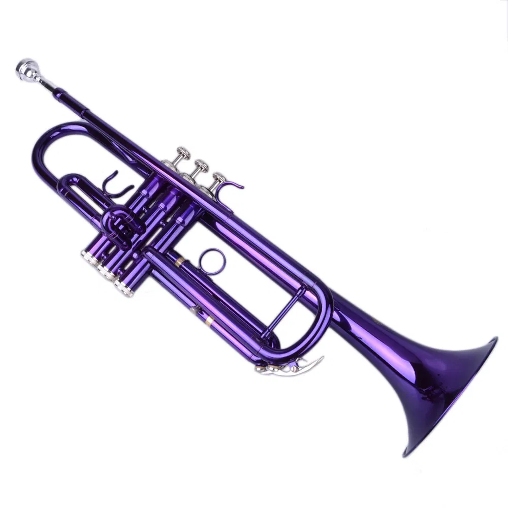 Brass B Flat Trumpet Violet image 15