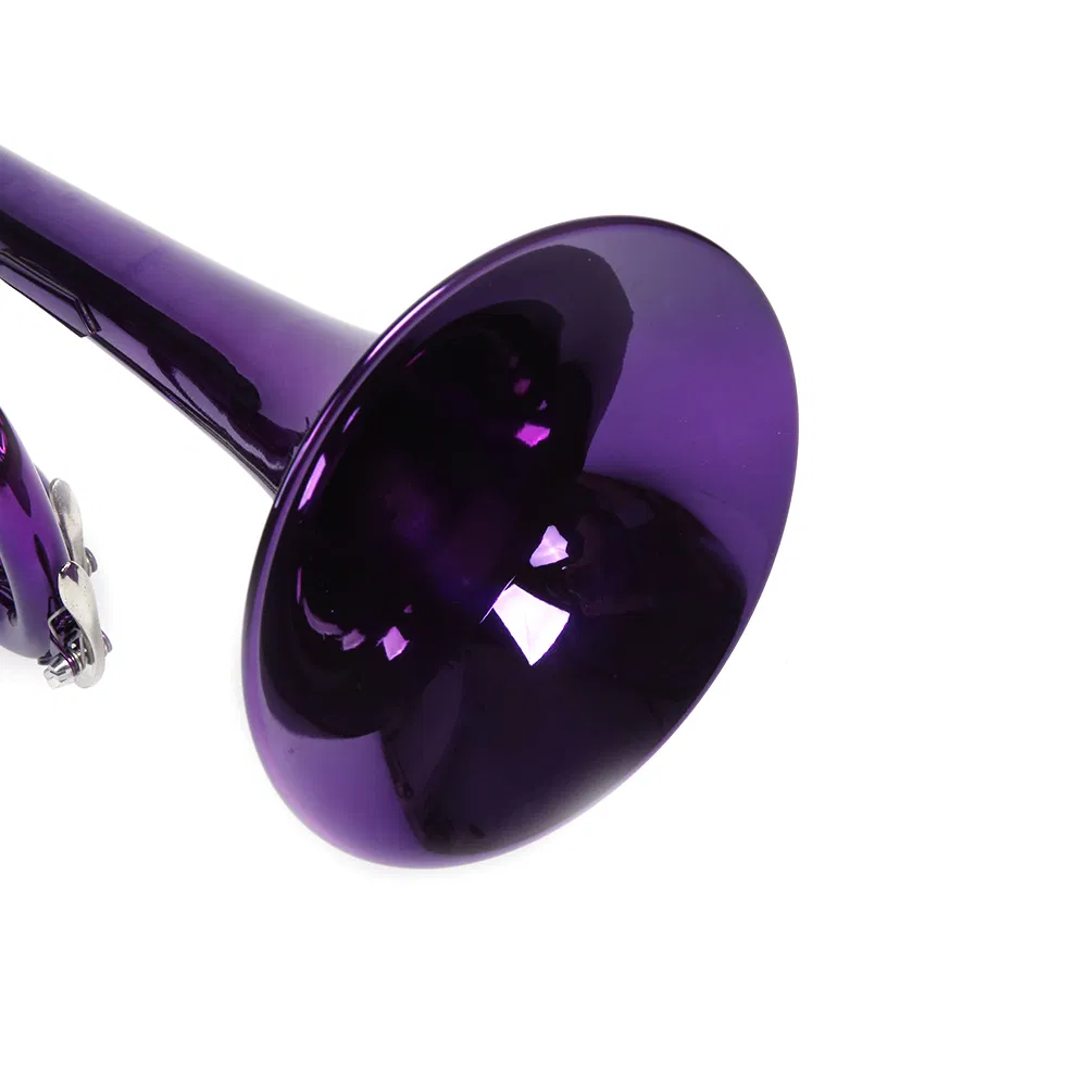 Brass B Flat Trumpet Violet image 2