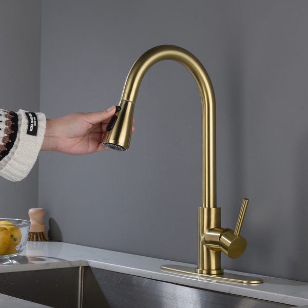 厨房水龙头家用洗菜盆龙头Kitchen Faucet with Pull Out Spraye-14