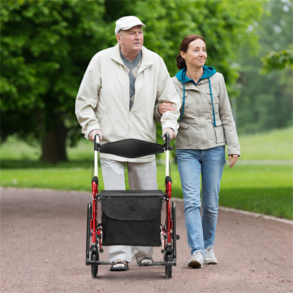 2-in-1 Rolling Walker & Wheelchair : 6-Position Height Adjustment (34