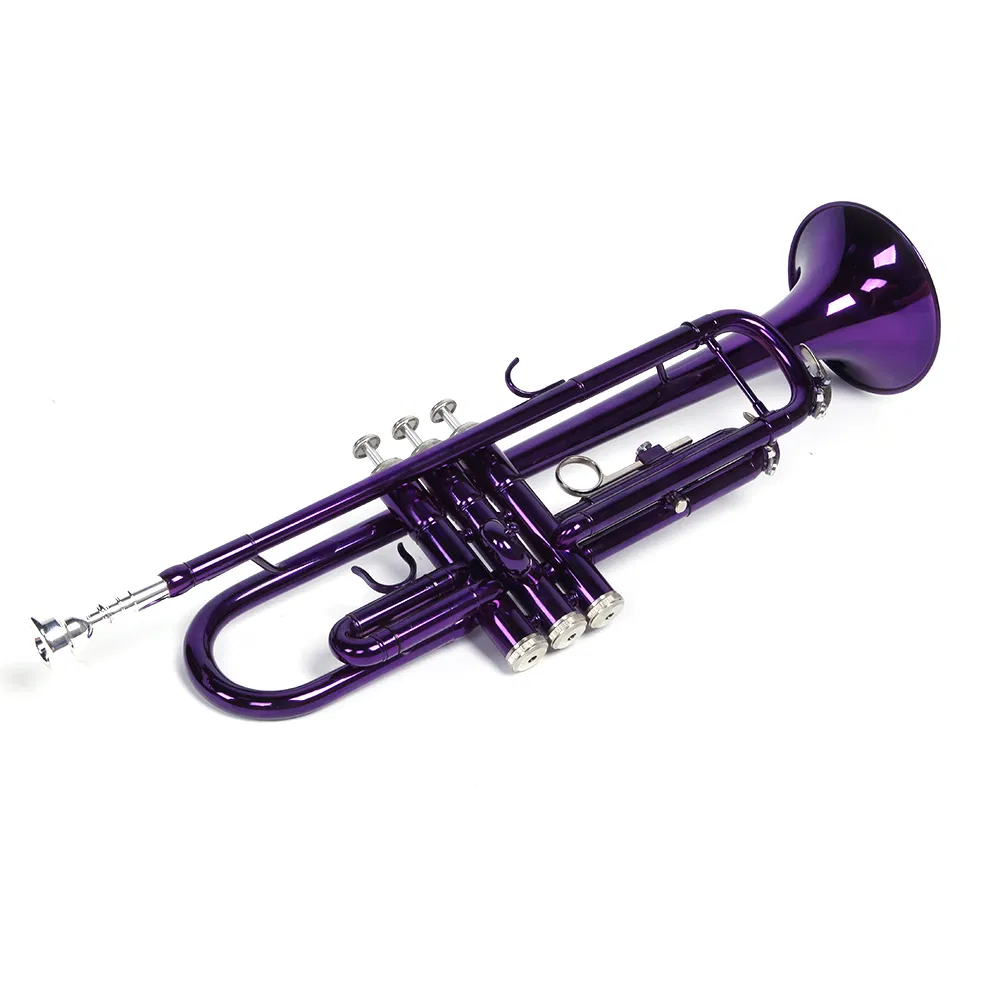Brass B Flat Trumpet Violet image 8