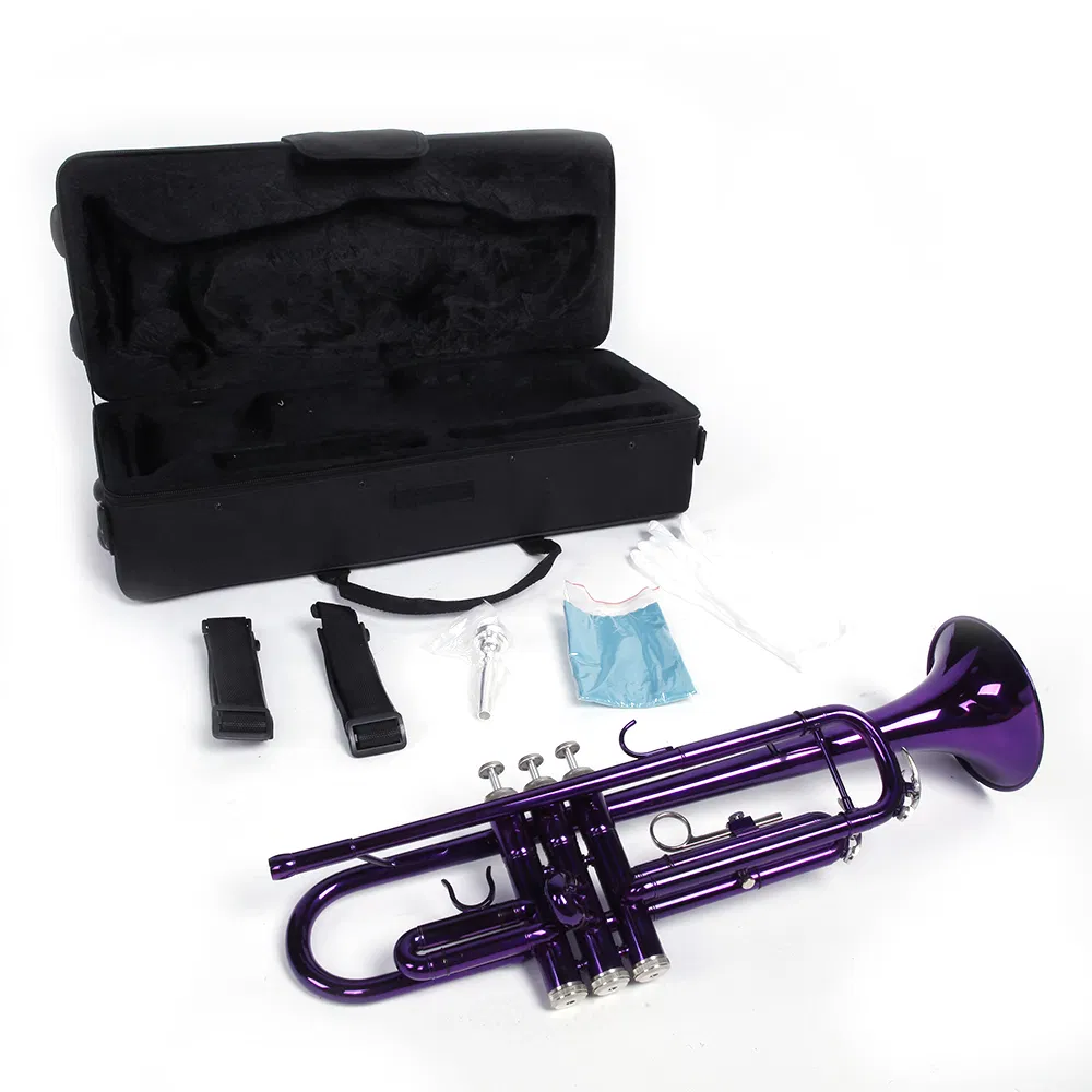 Brass B Flat Trumpet Violet image 4