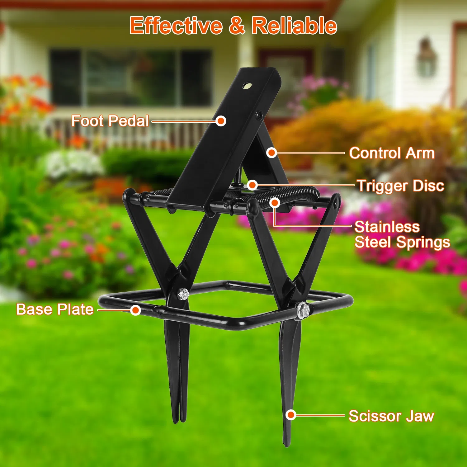 Powerful Mole Snap Trap - Thickened Waterproof Metal, Easy Foot-Step Setup, Humane Instant Kill, Safe for Lawn & Pets 5