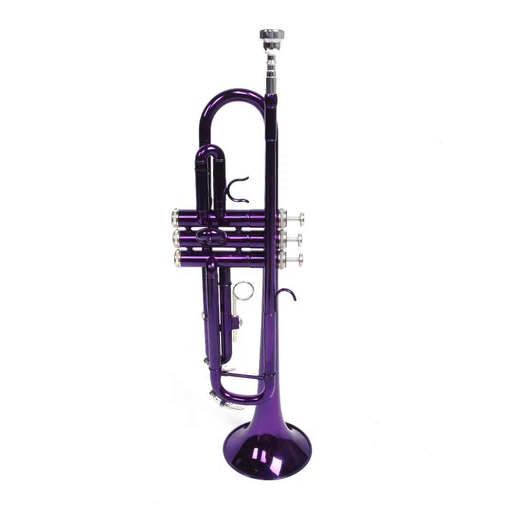 Brass B Flat Trumpet Violet image 3