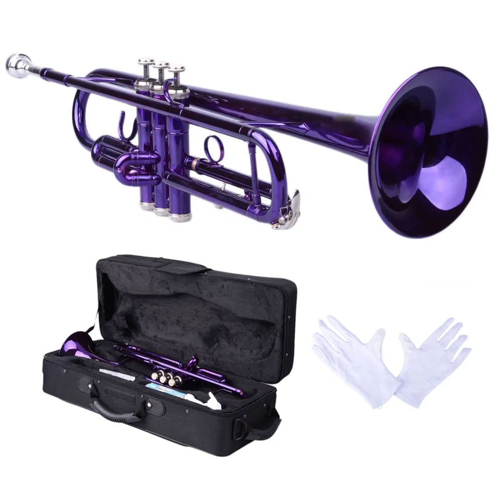 Brass B Flat Trumpet Violet image 9