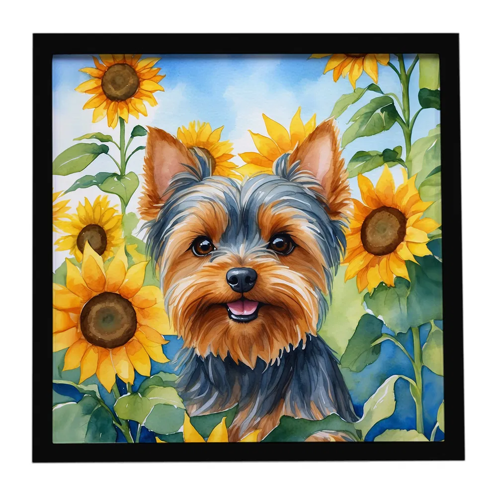 Framed Metal Print, Yorkshire Terrier, picture 3 of 3