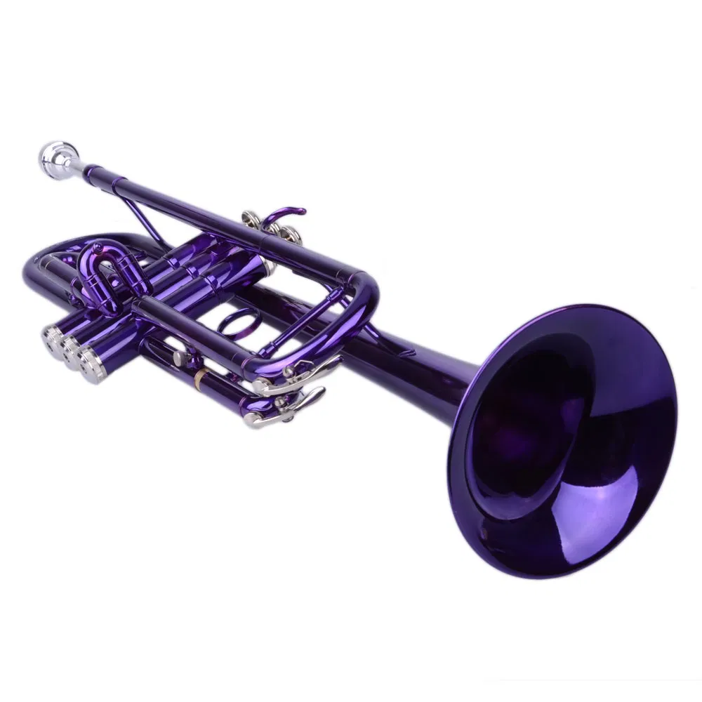 Brass B Flat Trumpet Violet image 16