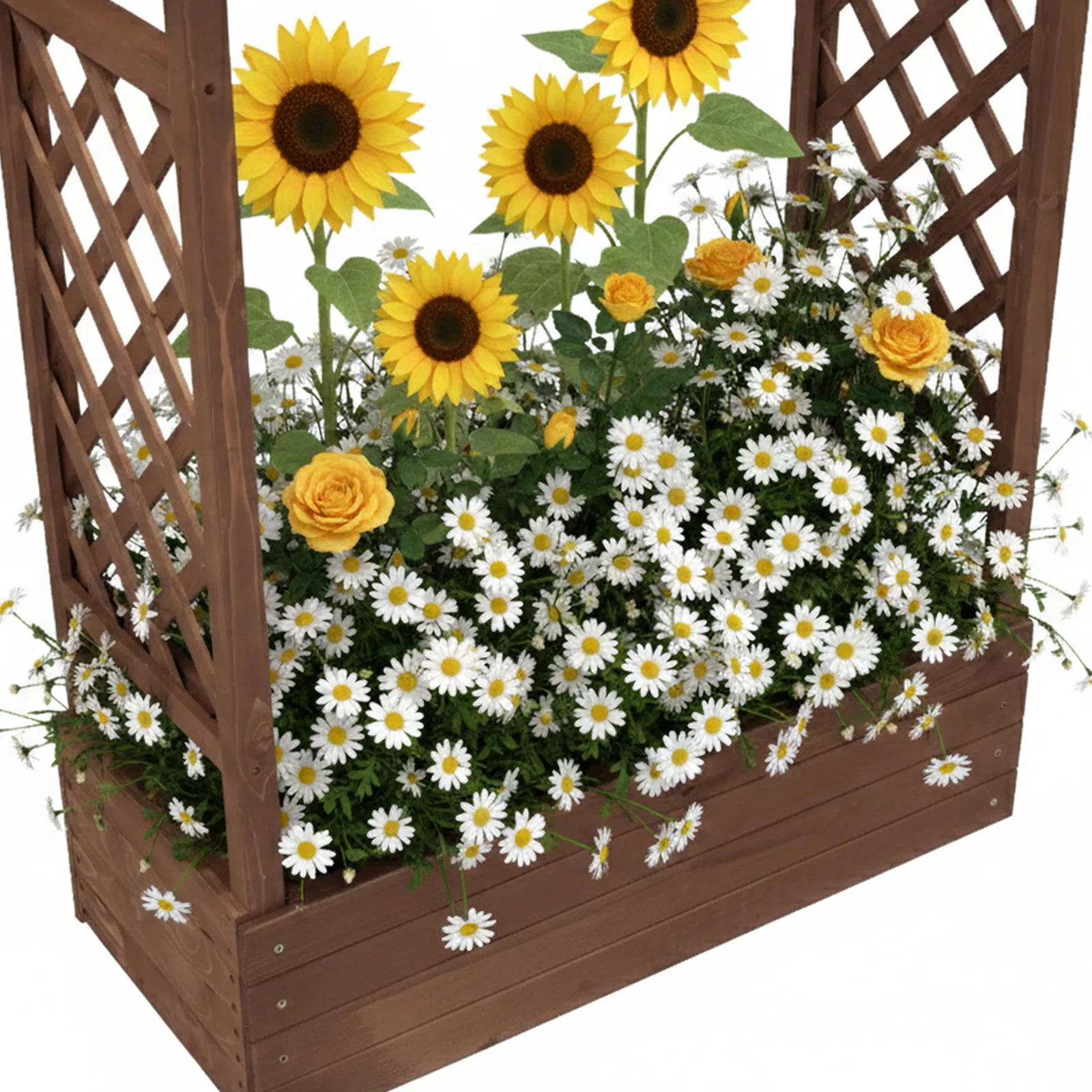 43.5*17.5*44.5 In Fir With Arched Lattice Raised Garden Bed Wooden Planting Frame Carbonized image 14