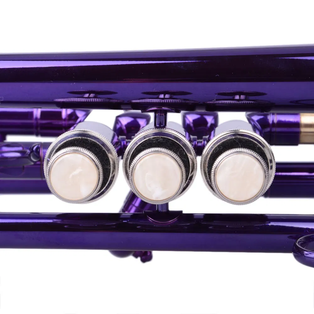 Brass B Flat Trumpet Violet image 19