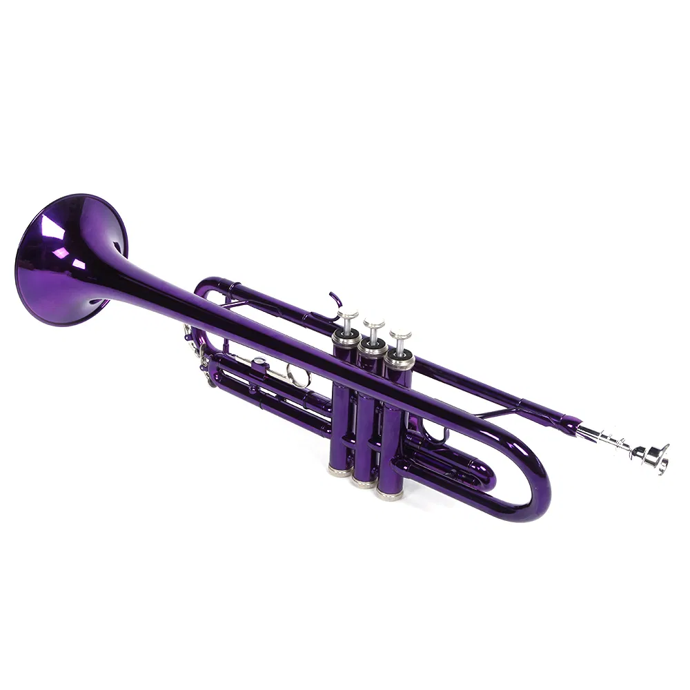 Brass B Flat Trumpet Violet image 10