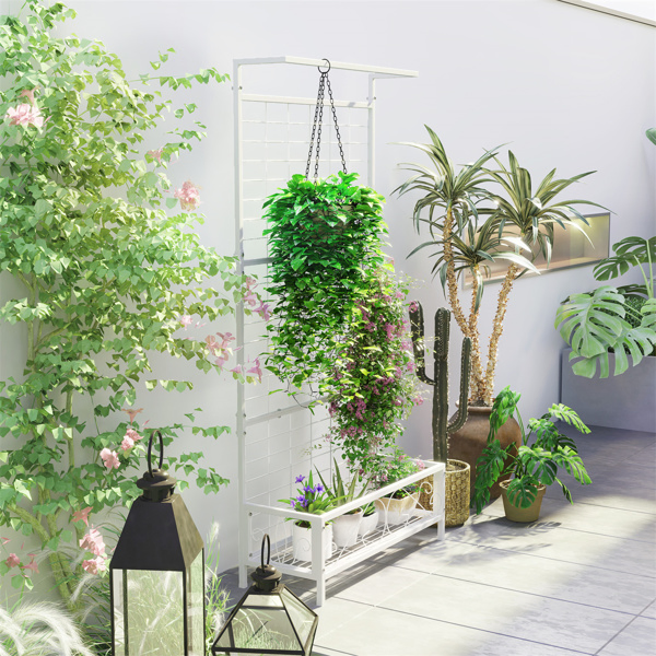 花架(周末不发货)( Amazon Shipping)(WalMart禁售)-16