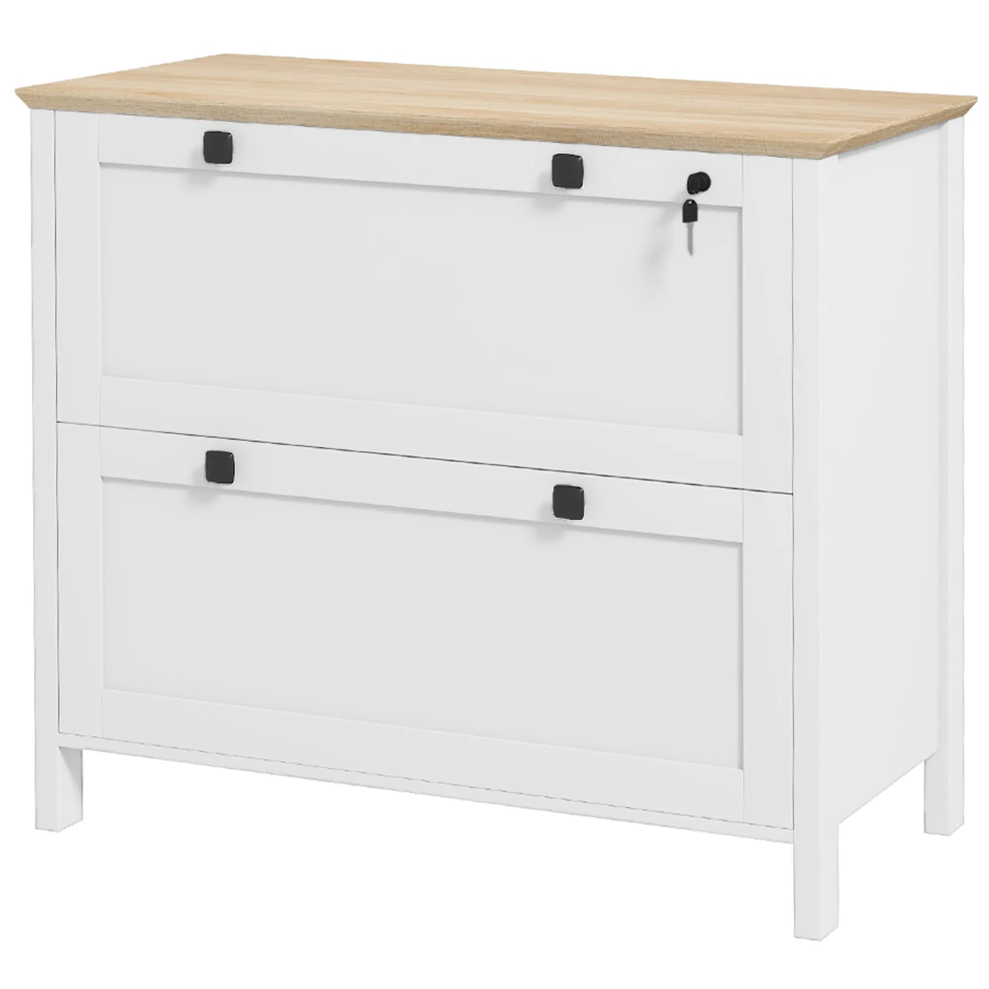 2 Drawer File Cabinet, Lockable Filing Cabinet with Adjustable Hanging Bar for Letter, A4 and Legal Size, White