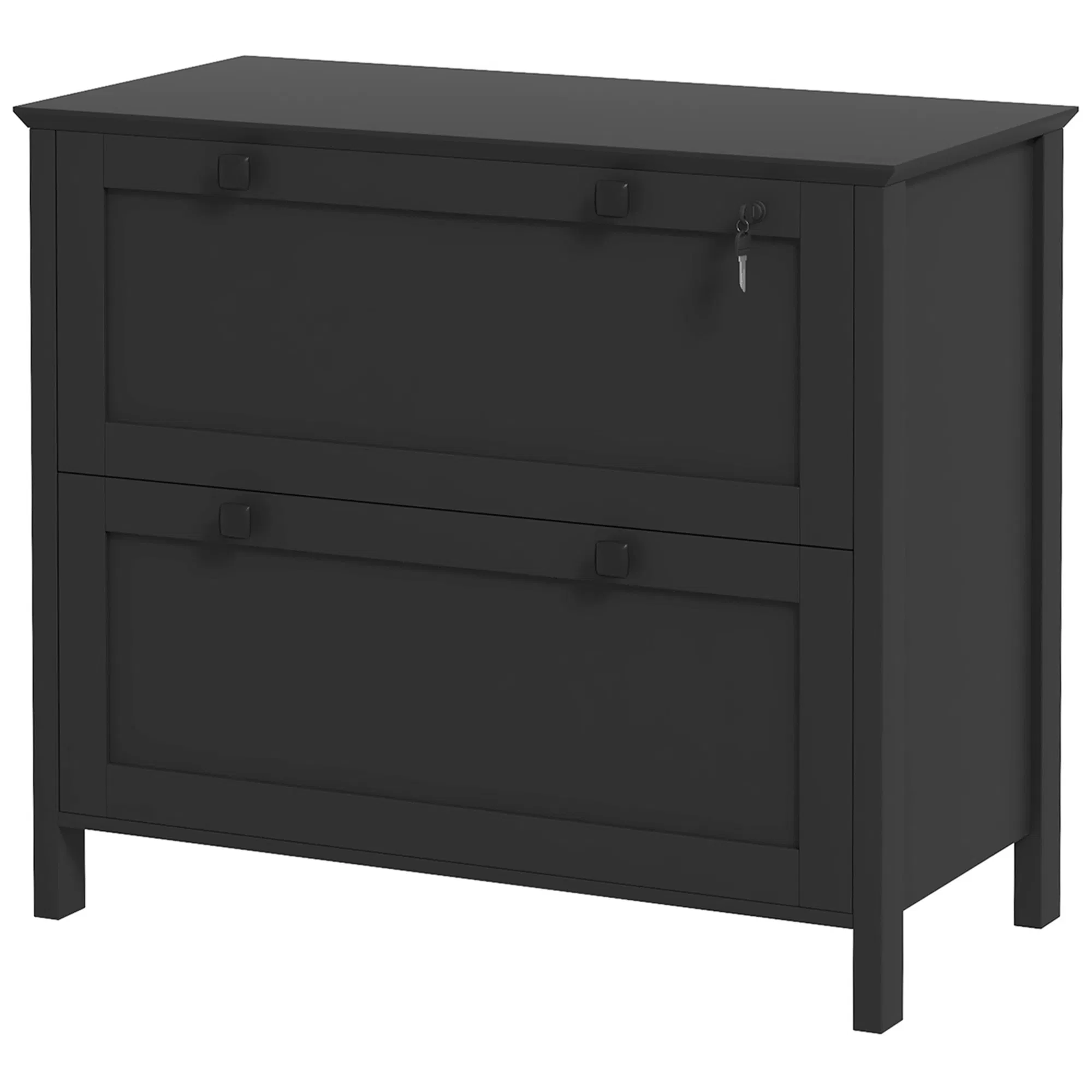 2 Drawer File Cabinet, Lockable Filing Cabinet with Adjustable Hanging Bar for Letter, A4 and Legal Size, Black