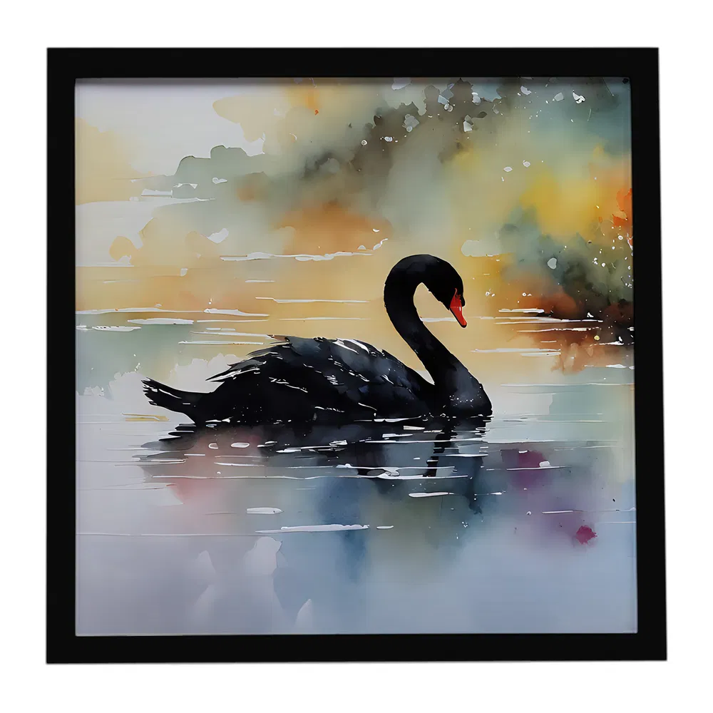 Framed Metal Print, Black Swan, picture 4 of 4