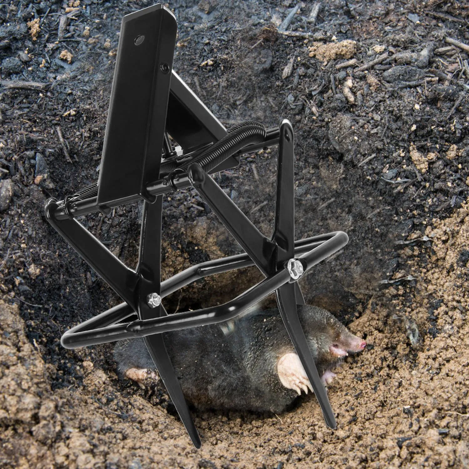 Powerful Mole Snap Trap - Thickened Waterproof Metal, Easy Foot-Step Setup, Humane Instant Kill, Safe for Lawn & Pets 6