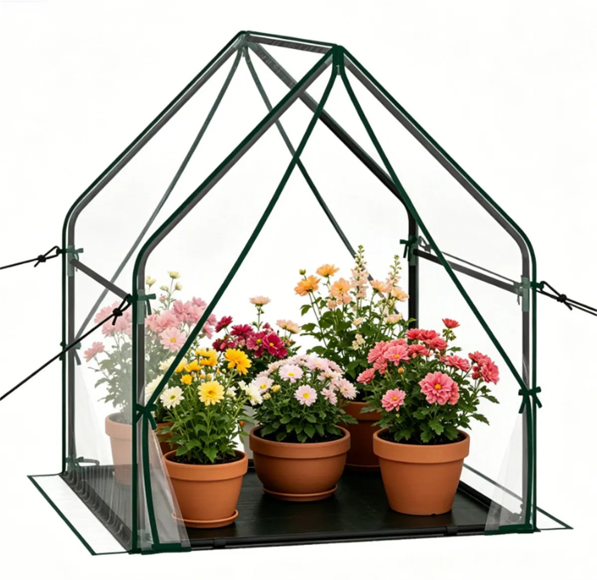 Mini Outdoor Greenhouse with PE Mat