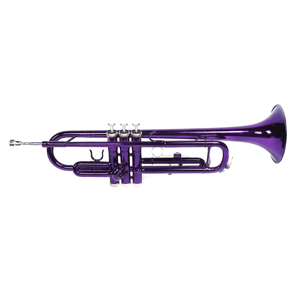 Brass B Flat Trumpet Violet image 5