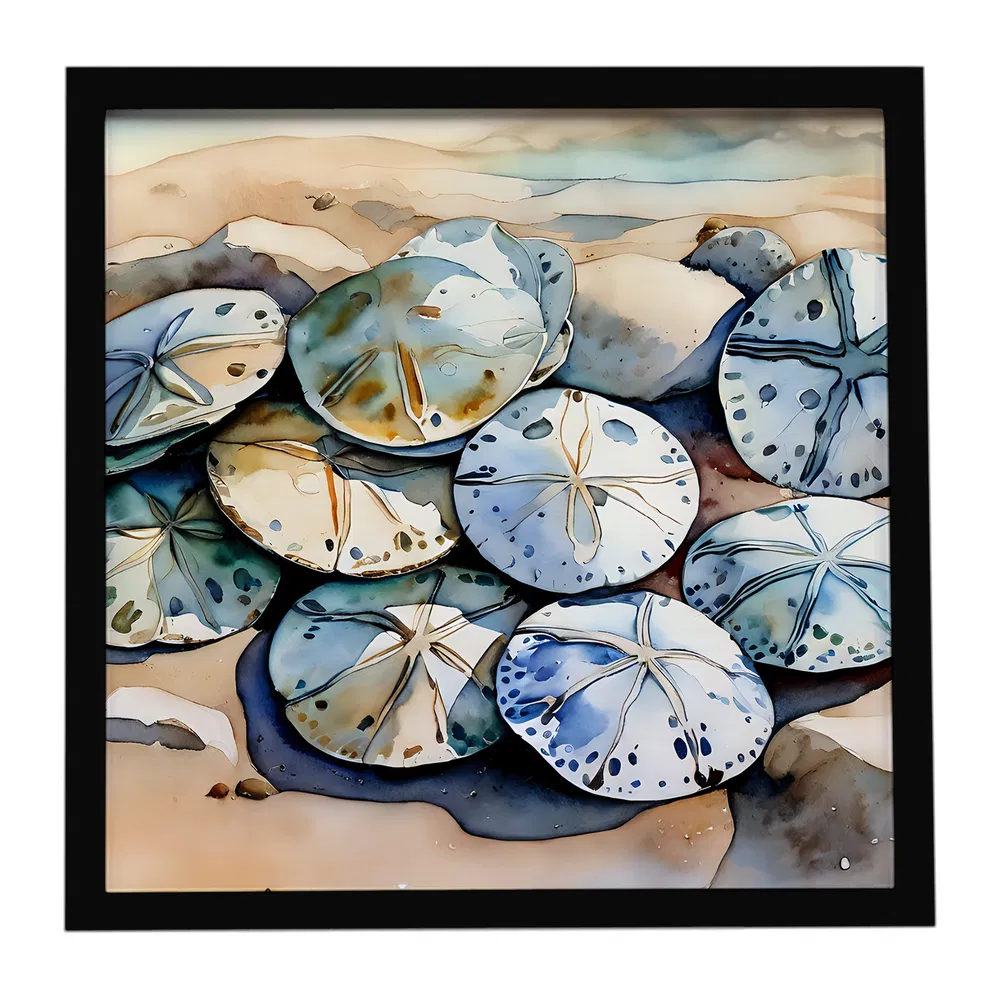 Framed Metal Print, Sand Dollars, picture 3 of 3