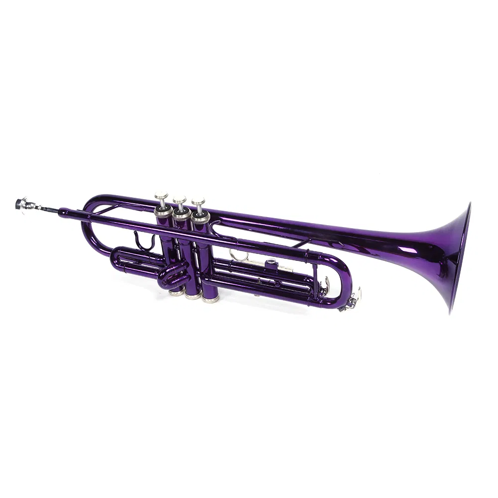 Brass B Flat Trumpet Violet image 7