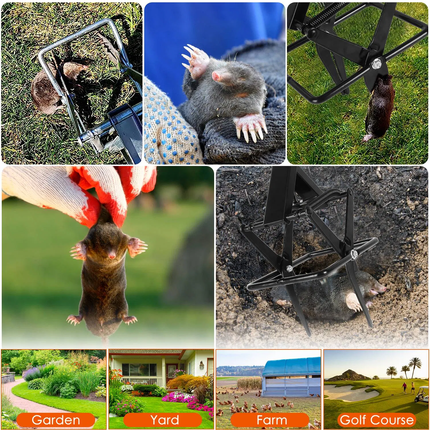 Powerful Mole Snap Trap - Thickened Waterproof Metal, Easy Foot-Step Setup, Humane Instant Kill, Safe for Lawn & Pets 9