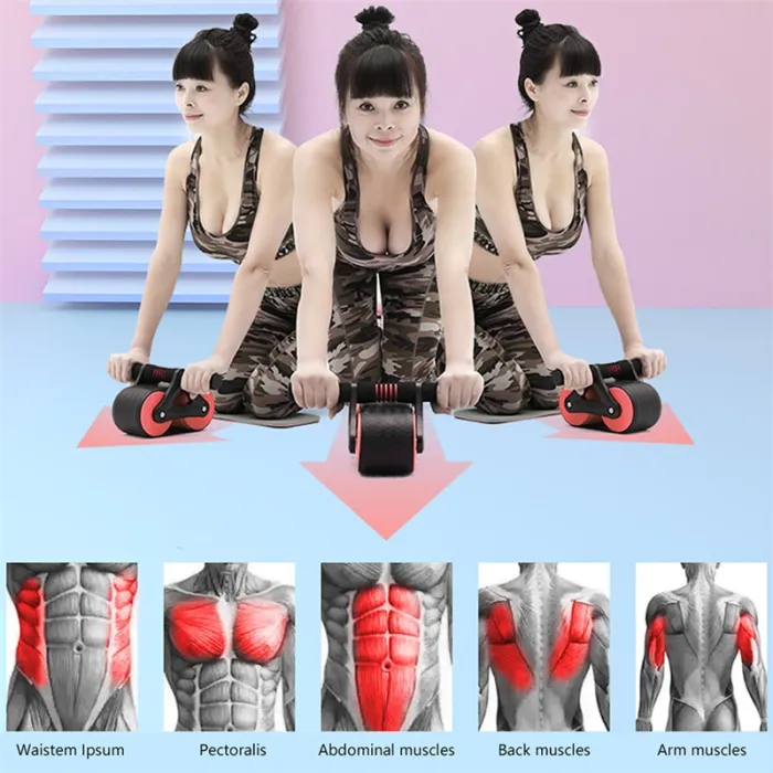 Double Wheel Ab Roller with Automatic Rebound, Core Exercise Wheel for Home Workouts - detail photo 6