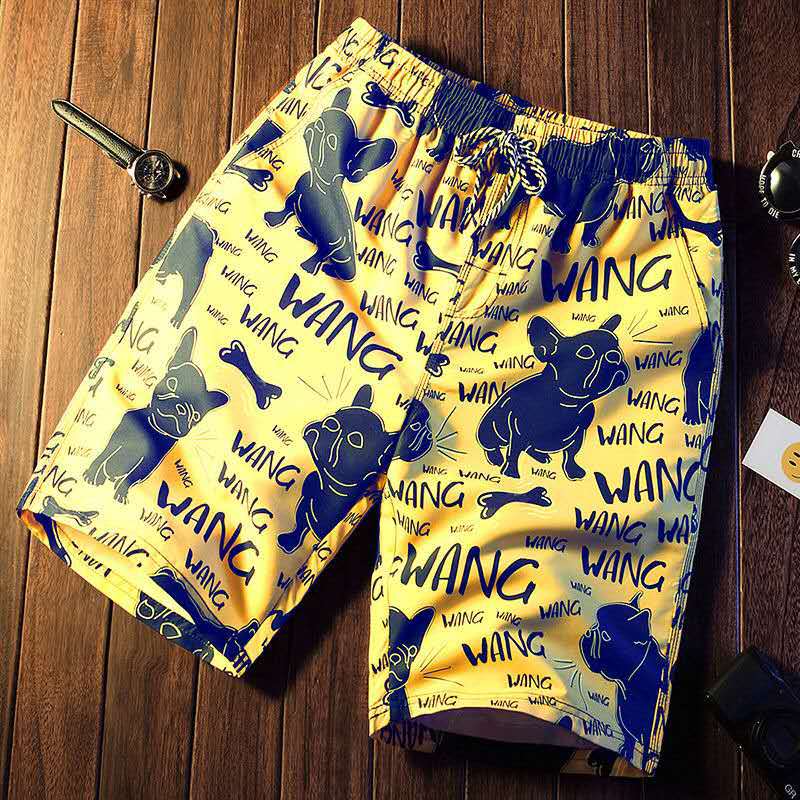 Title 6, Quick Dry Printing Beach Shorts for Men and Wom...