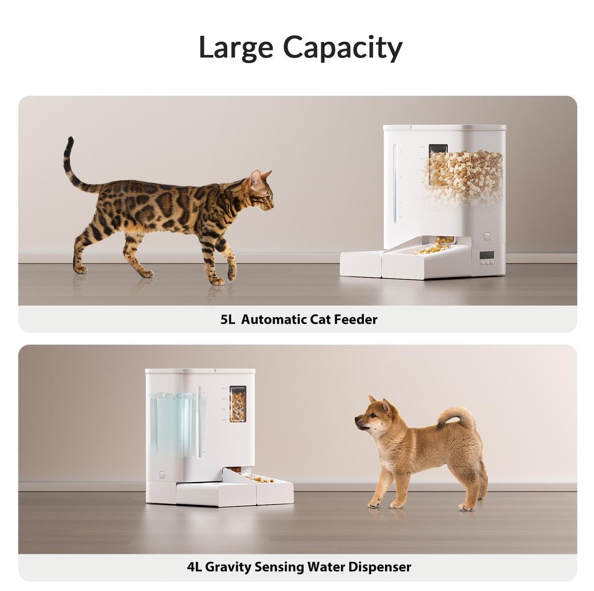 Comfortable tilt bowl angle for cats