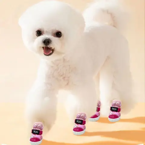Dog Shoes Are Non Slip and Warm in Winter