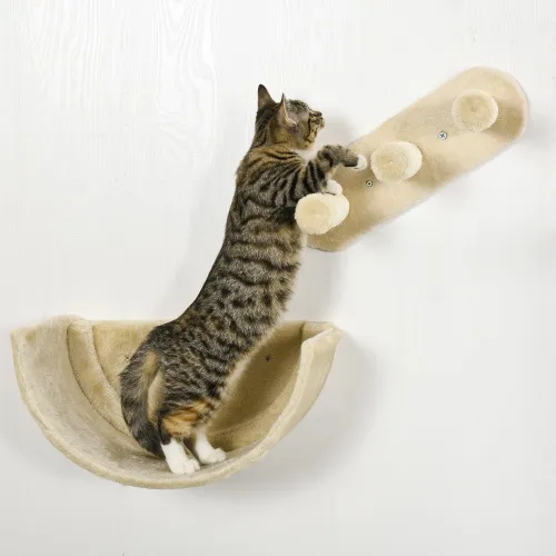 PawHut Cat Wall Shelves, Cat Wall Furniture Cat Climbing Shelf With Cat Hammock, 3 Steps, Perches, Scratching Post, For Sleeping, Playing, Beige ... - Shop at LoveMi