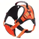 L Orange