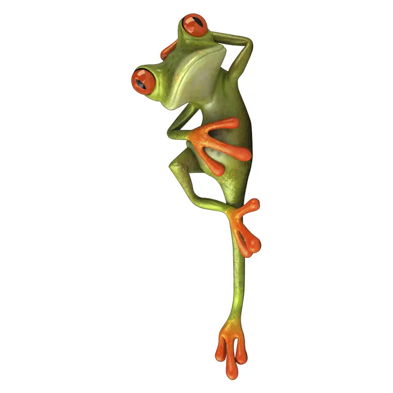 Car Body Scar Cover Funny Frog Sticker