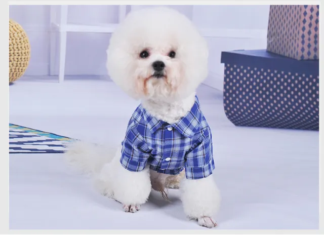 Double Diagonal Pocket Shirt Summer Thin Small Dog Clothes Blue - Shop at LoveMi