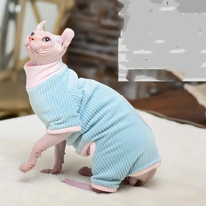 Warm Four-Legged Cat Jumpsuit for Hairless Breeds