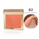 B2
