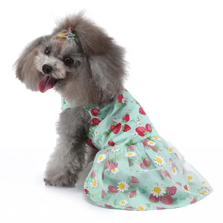 Dog Dress with Floral Print and Ruffled Skirt for Small Dogs
