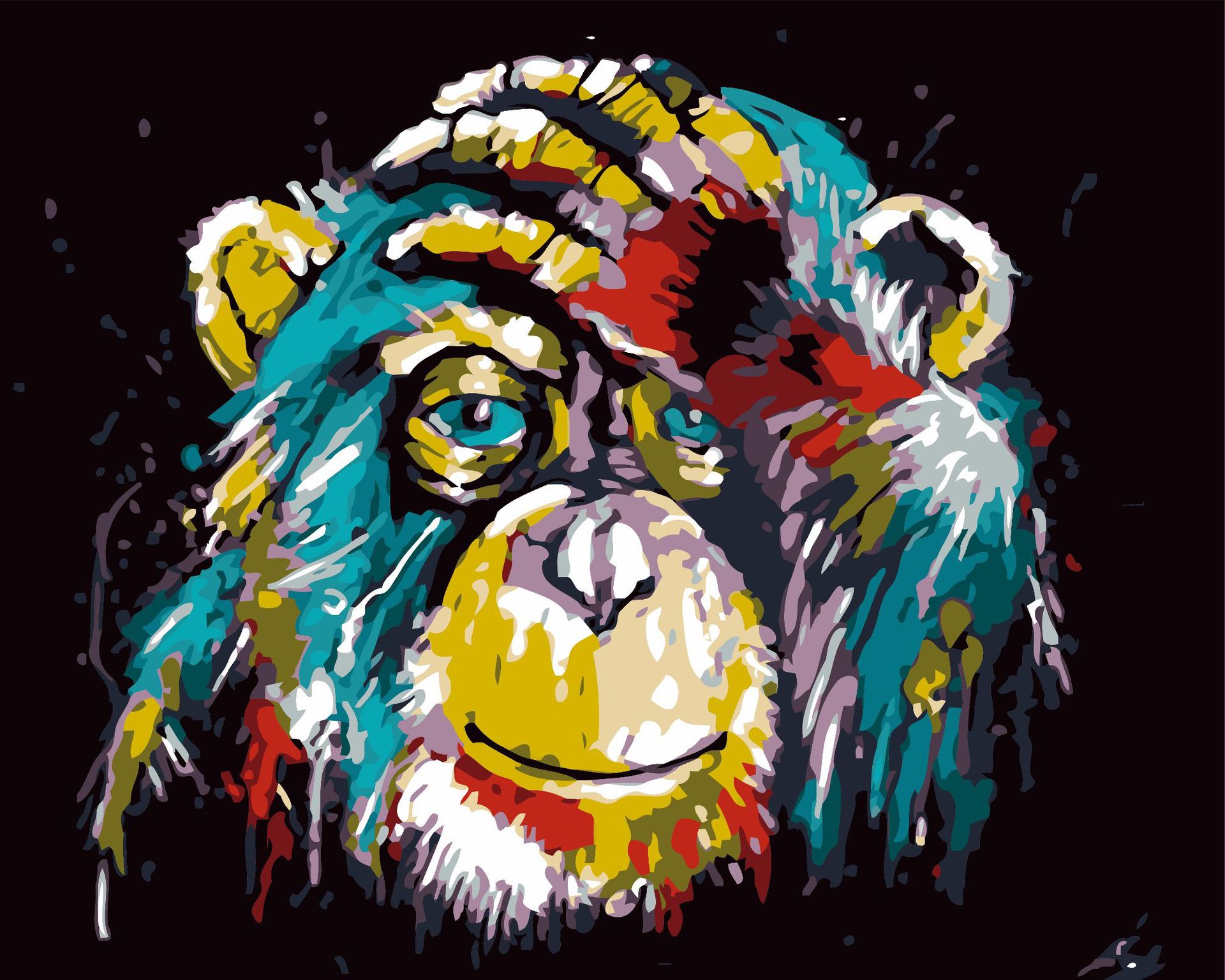 Digital Painting Painting By Number