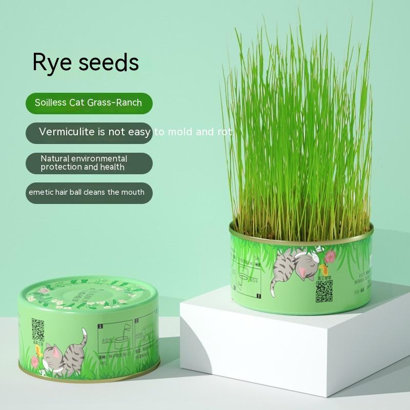 Cat Grass Can Rye Seeds