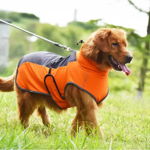 Autumn and Winter Warm Reflective Dog Clothes