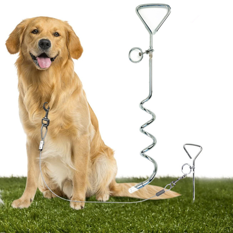 Dog Tie Out Stake Durable Silver Spiral Anchorstake Secure Outdoor Tethering For All Cable Leash Chain Camping Yard Rust Resistant Easy Installation Medium