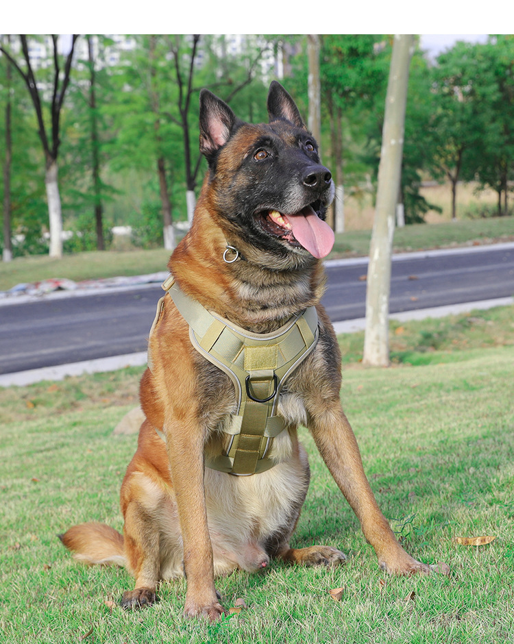 Heavy-duty K9 tactical dog harness for medium and large breeds, secure and breathable.