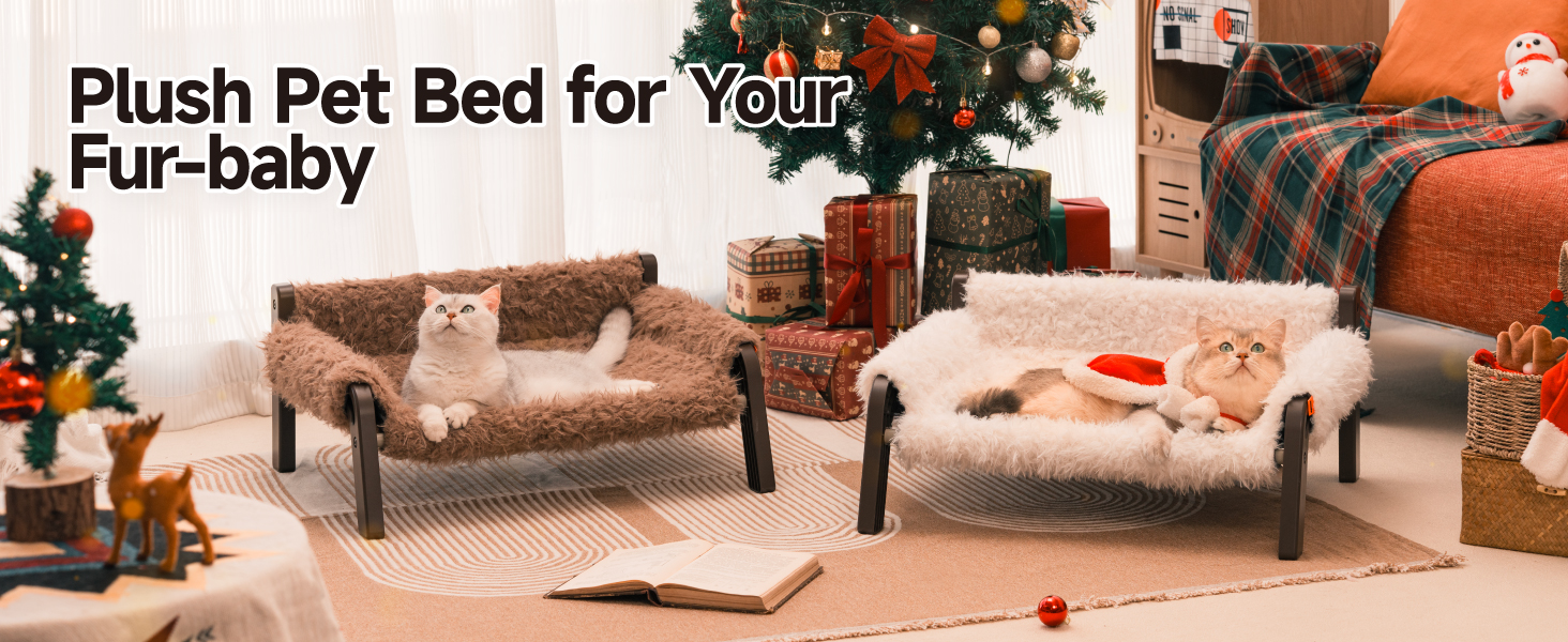 Pet Couch