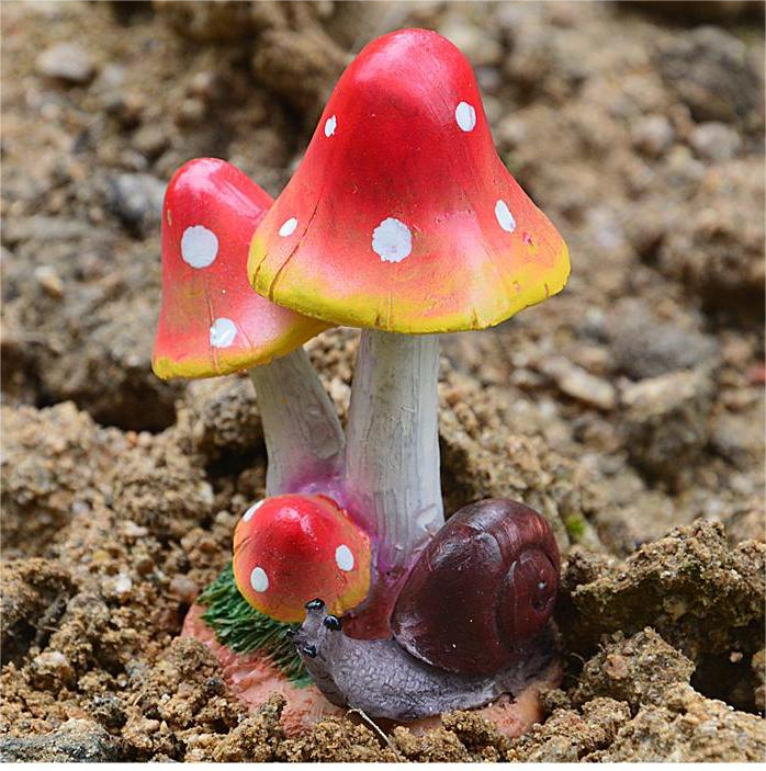 Snail Red Mushroom