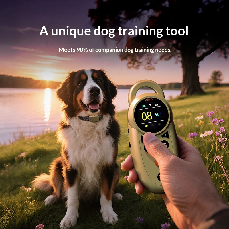 Remote Training Collar