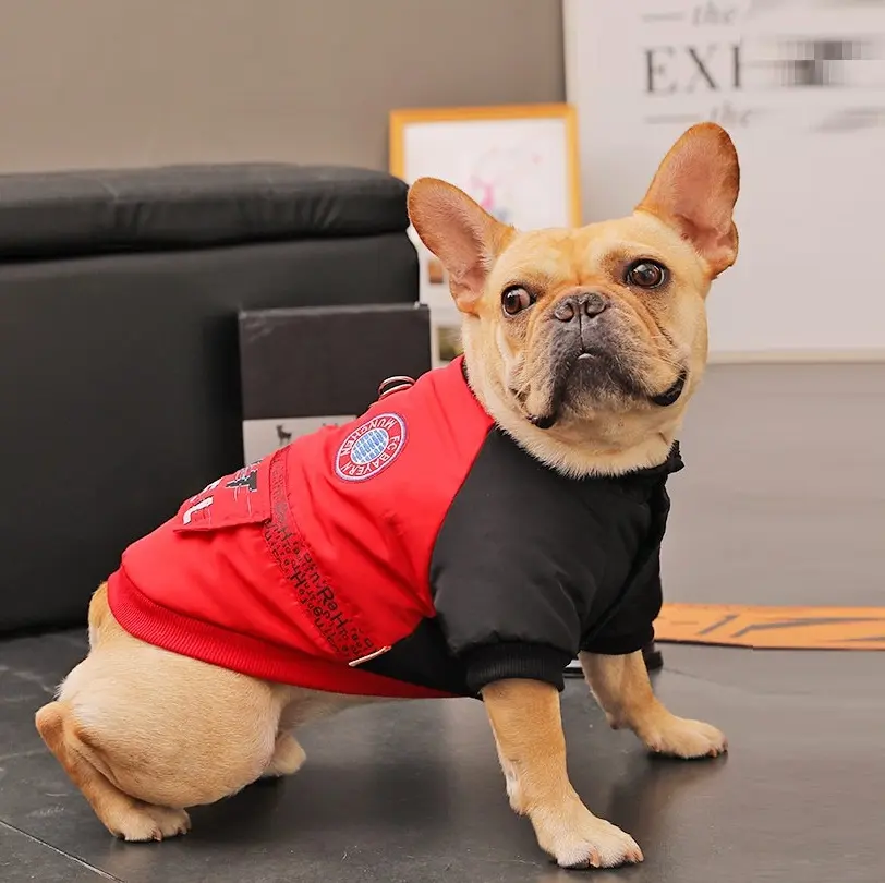 Small Pet Puppies Casual Winter Dog Padded