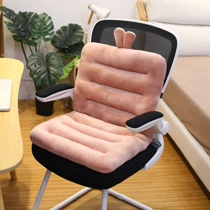 Title 4, Cartoon Integrated Seat Cushion And Cushion