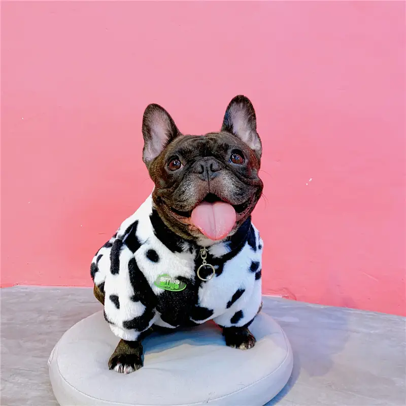 Cartoon Pet Clothes Dog Autumn And Winter Small And Medium-sized Warm Coat